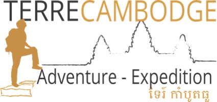 Terre Cambodge | logo